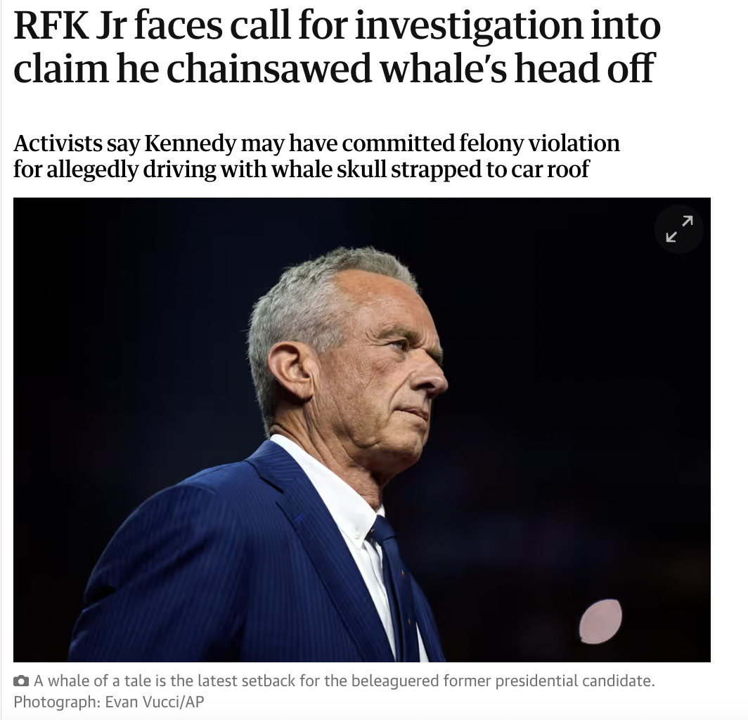 Robert F. Kennedy Jr. - Rfk Jr faces call for investigation into claim he chainsawed whale's head off Activists say Kennedy may have committed felony violation for allegedly driving with whale skull strapped to car roof A whale of a tale is the latest set